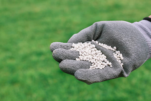 تصویر 1 از خرید و قیمت کود سولفات آمونیوم برای خاک‌ های کم نیتروژن + فروش صادراتی